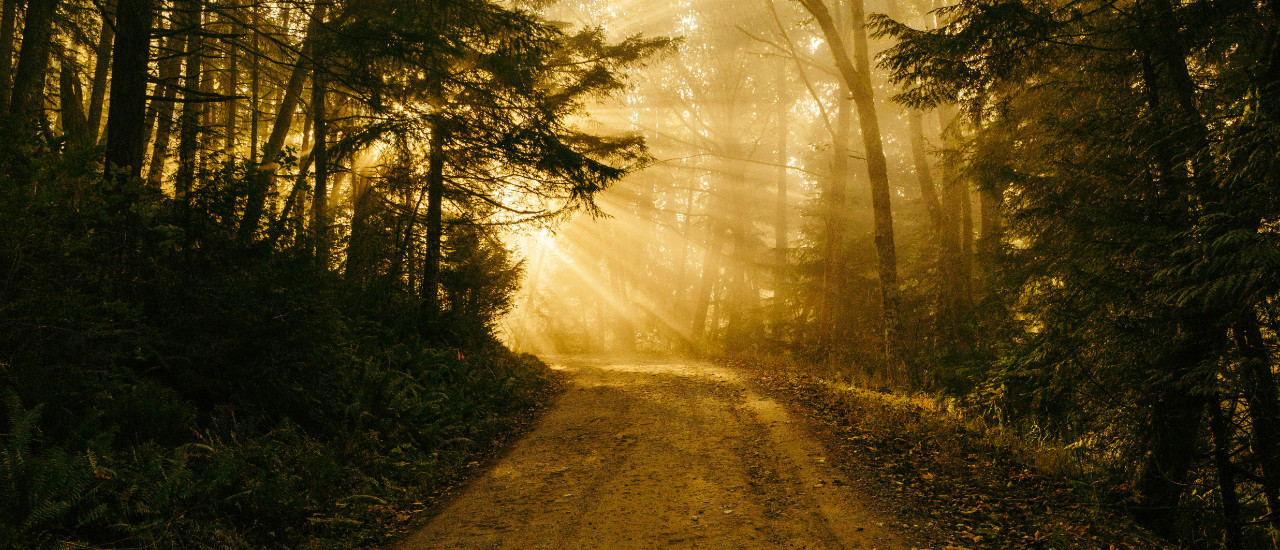 Dieu tient ses promesses