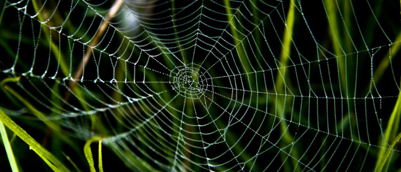 Etre disciple de Jésus en évitant les pièges et en grandissant dans la foi